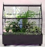 Gothic House Terrarium (Wardian Case) with Live Plants
