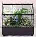 Gothic House Terrarium (Wardian Case) with Live Plants