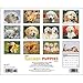 Golden Puppies 2015 Wall Calendar