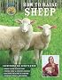 How to Raise Sheep