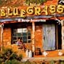 Best of Bluegrass: 18 Banjo Favourites