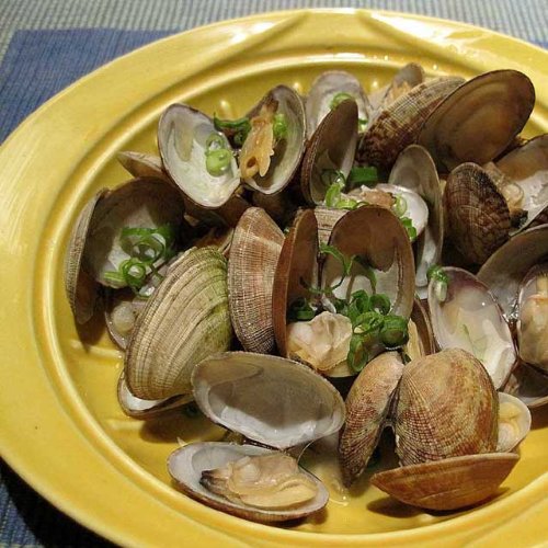 ンジ调理器具 蒸すクック ドット 库克点热气腾