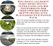 The Down and Dirty Earn More Money, Inner Game and Biz Networking for Computer Security Software On-line Businesses 3 CD Power Pack