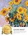 DecorArts -Monet Sunflowers, by Claude Monet. Giclee Print, Stretched Canvas Gallery Wrapped. 16x20