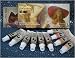John Howard Sanded Pro Mix Oil Paint Portrait Set