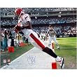 Chad Johnson Autographed End Zone In Bounds 16x20 Photograph Sports Football