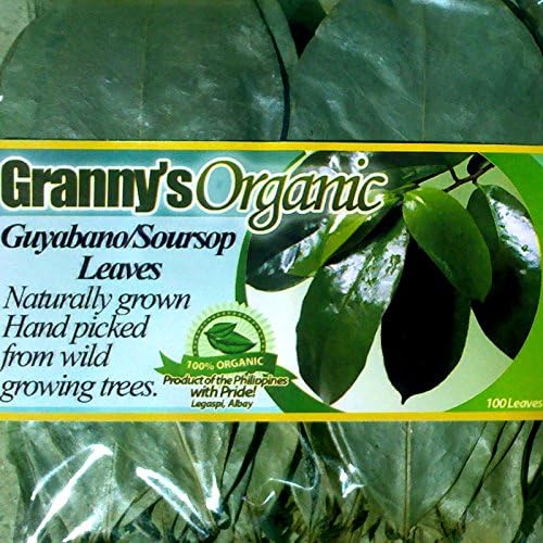100x Organic Guyabano Soursop Leaves (Guanabana Tea Graviola) Dried Sealed - USA