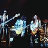 Image of Thin Lizzy