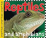 Reptiles and amphibians