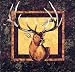 Elusive Elk Tony Whitney Bigfork Bay Cotton Company Quilt Pattern