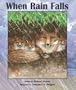 When Rain Falls