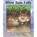 When Rain Falls