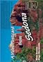 A Video Postcard from Sedona