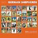 365 Days of German Shepherds 2011 Wall Calendar