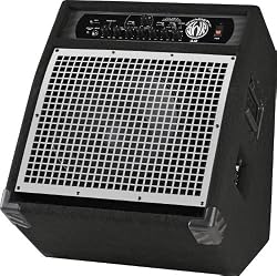 SWR WorkingPro 12 200 Watt 1x12" Bass Combo Amp