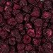 Harmony House Foods Freeze-Dried Cherries, whole (6 oz, Quart Size Jar)
