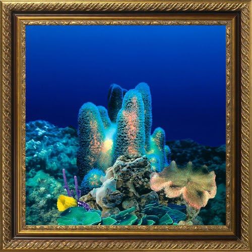 AquaVista AV500CRBALI Wall-Mounted Aquarium AV 500 Coral Reef Background with Libra Frame