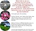 The Guerilla Marketing, Building Effective Lead Capture Web Pages, Affiliate Marketing for Sewing Machines and Sergers Businesses