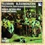 Concerto in D minor for 2 Chalumeaux, Strings and Basso Continuo - 2. Allegro