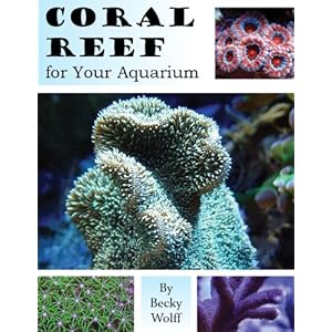 Coral Reef for Your Aquarium
