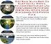 The Mega How To Earn Extra Money, Marketing and Success Principles for Scuba Diving Gear On-line Businesses 3 CD Pack