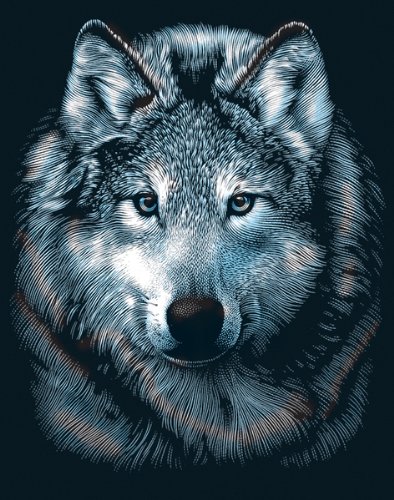 - Scraperfoil Kit 8