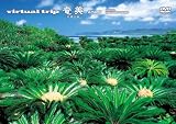 ｖｉｒｔｕａｌ ｔｒｉｐ 奄美 -黒潮の森- ［低価格版］