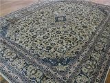 10x13 Ivory Persian Hand Knotted Kashmar Rug