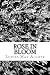 Rose in Bloom