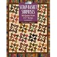 Scrap-basket Surprises: 18 Quilts from 2-1 2 inch Strips (That Patchwork Place) by Kim Brackett