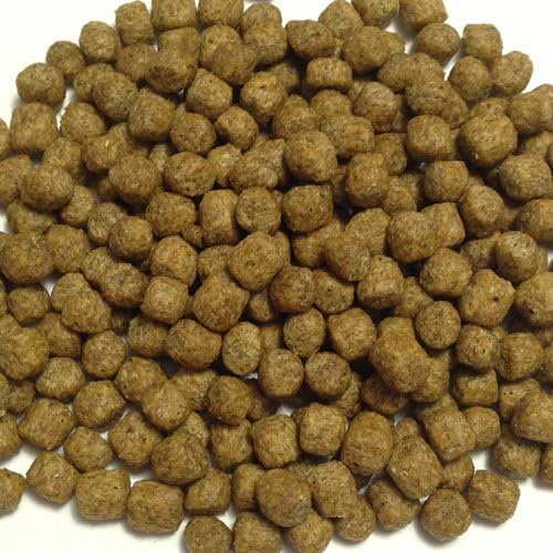 AquaNourish Omnivorous Aquaponic Fish Feed - Stage 4 20lb by The Aquaponic Source