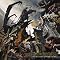 Explore the world of technical metal?