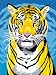 SES creative 01506 - Malen nach Zahlen Tiger