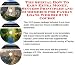 The Special How To Earn Extra Money, Success Principles and eCommerce for Payday Loans Web Biz 3 CD Course