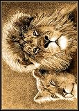 Animal Area Rug, Home Dynamix Zone Lion