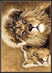 Animal Area Rug, Home Dynamix Zone Lion