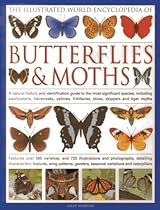 The Illustrated World Encyclopedia of Butterflies and Moths: A Natural History and Identification Guide
