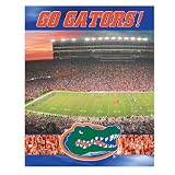 R and R Imports Inc. PZ-UF Florida Gators 550 piece Jigsaw Puzzle set 18x 24
