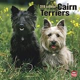 Cairn Terriers 2010 Square Wall (Multilingual Edition)