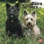 Cairn Terriers 2010 Square Wall (Multilingual Edition)