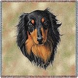 Longhair Dachshund Brown/Black Lap Square - 53 x 53 Blanket/Throw