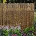Willow Fence
