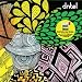 Amazon MP3 Free Song of the Day