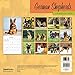 German Shepherds 2016 Wall Calendar