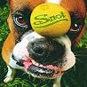 Image of album by Snot