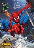 Kitchen & Housewares : Spider-man (Web 3d) - Lenticular Poster - 50cm x 70cm