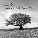 Life Among Ruins