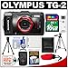 Olympus Tough TG-2 iHS Shock & Waterproof Digital Camera (Black) with 16GB Card + Case + Battery + 2 Tripods + Accessory Kit