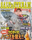SALT & STREAM (ソルトアンドストリーム) 2007年 06月号 [雑誌]