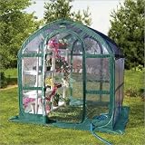 SpringHouse Clear